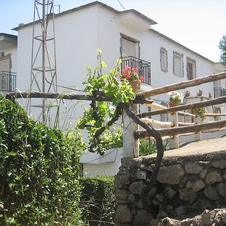 Alojamiento Rural Mirador Del Avellano Alpujarra De La Sierra Ngoại thất bức ảnh