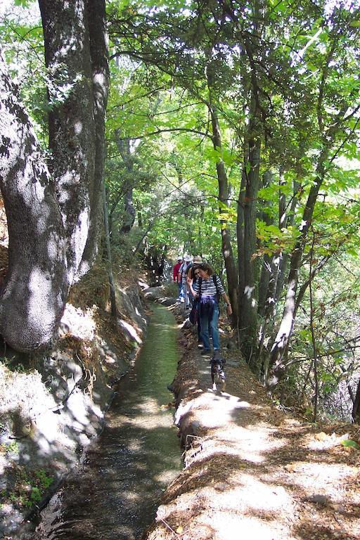 Alojamiento Rural Mirador Del Avellano Alpujarra De La Sierra Ngoại thất bức ảnh