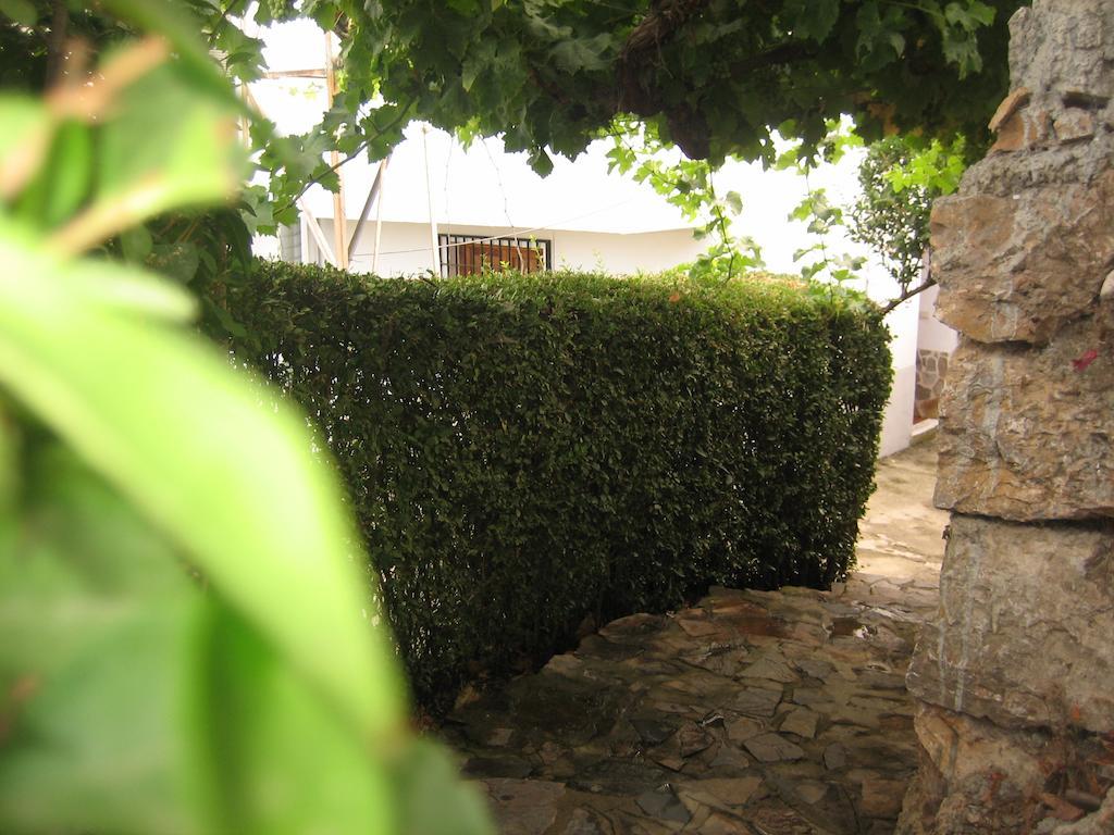 Alojamiento Rural Mirador Del Avellano Alpujarra De La Sierra Ngoại thất bức ảnh